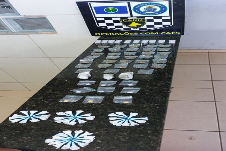 Equipe Canil localiza drogas no Santa Felícia