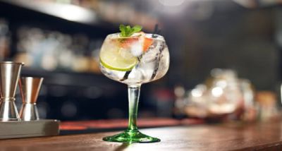 Gin Tônica: descubra como preparar esse drink de diferentes formas