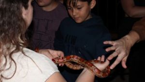 Parque ecológico de São Carlos realiza passeio noturno especial