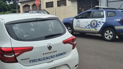 Prefeitura intensifica combate a maus-tratos e multas já ultrapassam R$ 84 mil em 2026