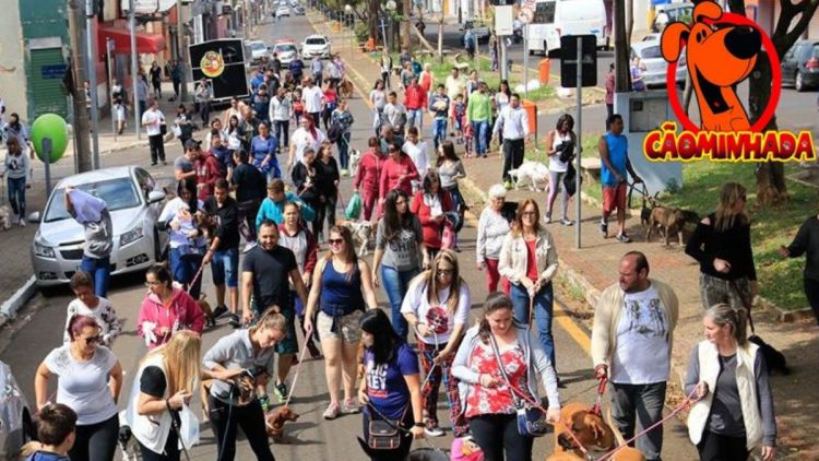Neste domingo tem cãominhada na Rua Larga