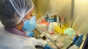 USP: pesquisa de vacina contra zika avança em testes com camundongos