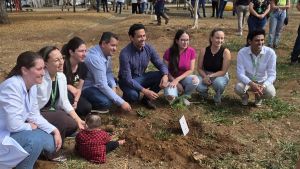 Unimed São Carlos realiza plantio de araucárias na Praça Brasil