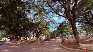 Prefeitura promove programação especial para o dia das Crianças na Praça da XV