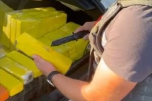 PM Rodoviária apreende 4 ton. de maconha em um dia e causa prejuízo de mais de R$ 5 mi ao tráfico