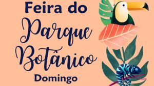 Festival de Fatias e atrações culturais agitam a Feira do Parque Botânico neste domingo (18)