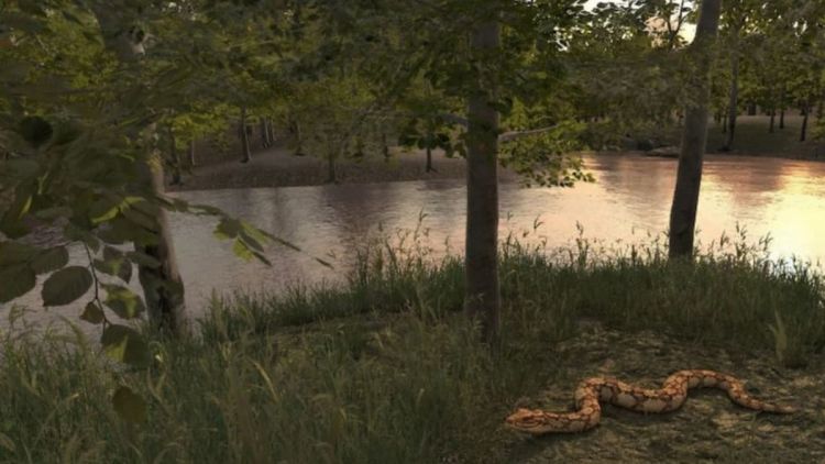 “Panorama Cerrado” - Jogo gratuito transforma usuários em exploradores do bioma mais ameaçado do Brasil
