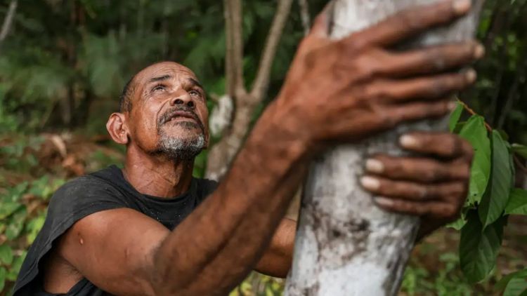 Projeto transforma áreas de queimada em produção sustentável no Marajó