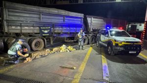 Reincidente por tráfico é preso com 177 quilos de drogas em estepes de caminhão