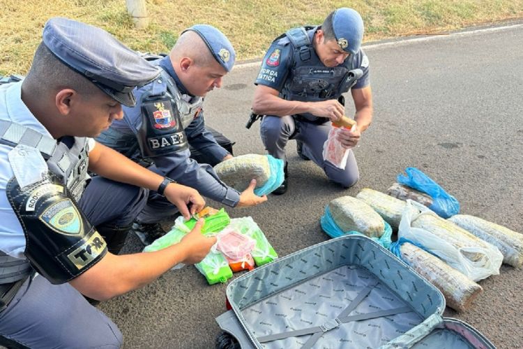 Ônibus interestadual é interceptado, e drogas são apreendidas com passageira em Andradina