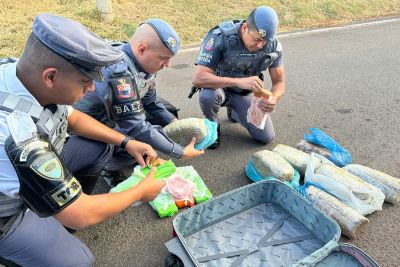 Ônibus interestadual é interceptado, e drogas são apreendidas com passageira em Andradina