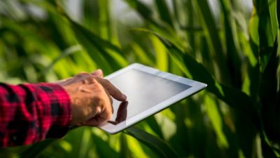 Sebrae-SP e Embrapa selecionam startups para validar soluções inovadoras em fazenda experimental