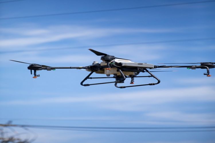 São Carlos usa drones com larvicidas e pastilhas de cloro para combater avanço da dengue