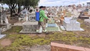 Dedetização é realizada no Cemitério, no Terminal Rodoviário e na Pirâmide