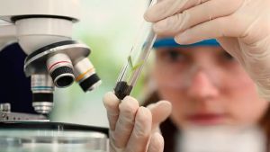 Prêmio para mulheres e meninas cientistas abre inscrições até outubro