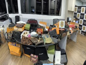 PC prende suspeita de vender bolsas de luxo furtadas em brechó online