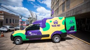 Prefeitura oferece táxi pet gratuito para garantir acesso a serviços de saúde animal