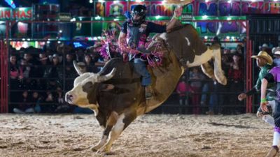 Prefeitura de Ibaté emite alvará para uso de espaço público na Expo Rodeio 2026