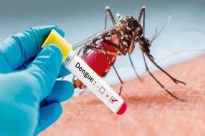 São Carlos confirma 833 casos positivos de dengue