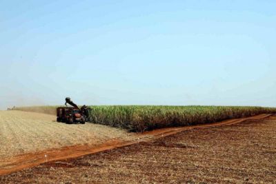 Índia busca permissão para exportar um milhão de toneladas de açúcar