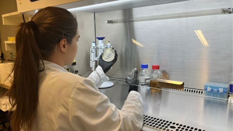 UFSCar transfere conhecimento de levedura termotolerante para startup deep tech