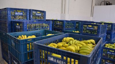 São Carlos investe mais de R$ 4 milhões na Agricultura Familiar