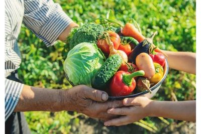 Plataforma do Desenrola renegociará dívidas de agricultores familiares