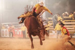 Shows e provas da segunda noite agitam rodeio de Jaguariúna 2021; FOTOS, Rodeio de Jaguariúna 2021