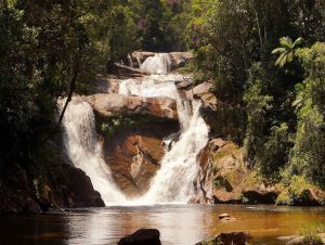 SP anuncia plano com R$ 2,13 bilhões para recuperação ambiental