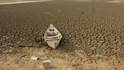 Brasil promete restaurar 163 mil km² de terras degradadas até 2030