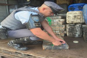 Motorista é preso com 2 toneladas de maconha escondidas em galões de óleo