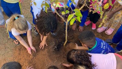 Plantio de árvores marca ação de educação ambiental em Cemei