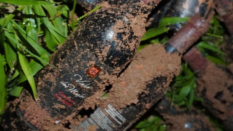 Vinho dos Mortos em São Roque revive tradição centenária portuguesa com ritual, fado e gastronomia