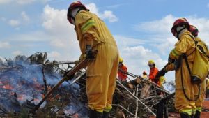 São Carlos é a primeira cidade do estado a contar com brigada de incêndio formada por efetivo do Corpo de Bombeiros