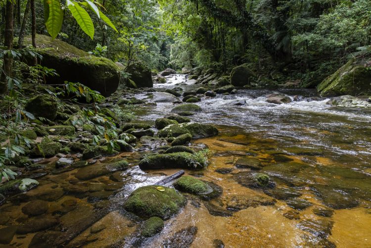 Aproveite o fim de ano para conhecer os “secret points” de São Sebastião