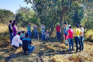 Curso de Especialização MBA em Restauração Ecológica e Licenciamento Ambiental (EaD) da UFSCar recebe inscrições