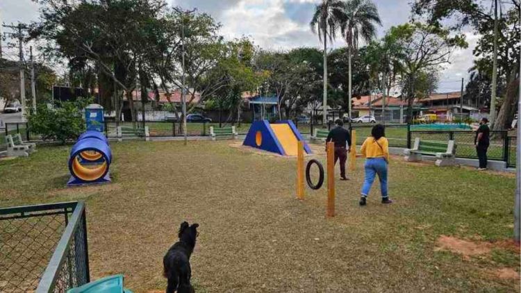 Vereador Elton Carvalho destina R$ 100 mil para construção com foco no bem estar animal e socialização