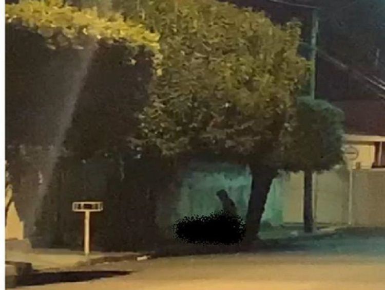 Casal é flagrado fazendo sexo na rua