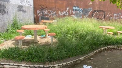 Vereador Edson Ferraz pede urgência na limpeza de praças no tijuco preto e cobra providências da Prefeitura