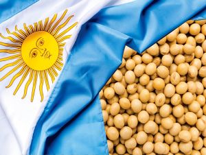 Sindicato de inspetores de grãos da Argentina encerra greve após aumento salarial