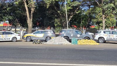 Polícia Rodoviária apreende meia tonelada de drogas escondida em caminhão frigorífico