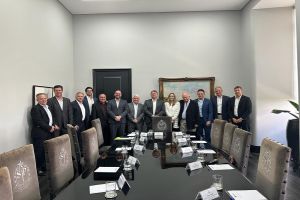 Representantes da prefeitura e da câmara participam de audiência do grupo laguna com governador Tarcísio de Freitas