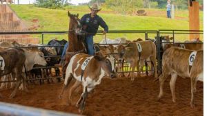Raça Mangalarga será o grande destaque do Jaguariúna Rodeo Festival 2026