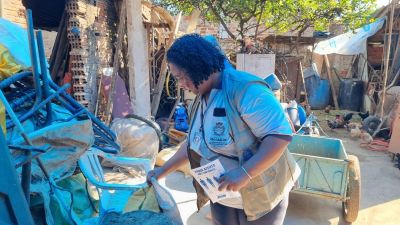São Carlos registra queda nos casos de dengue após pico entre março e maio