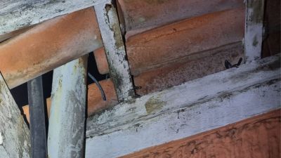 Alarme dispara e guarda flagra casal com fios cortados na Biblioteca Amadeu Amaral