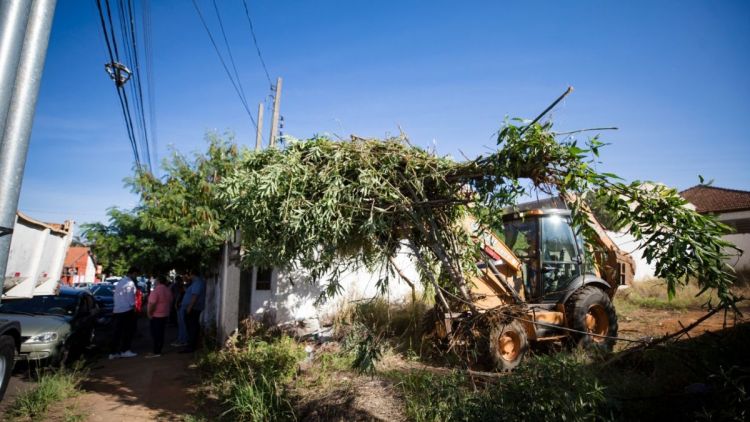 Prefeitura divulga balanço das ações de fiscalização ambiental
