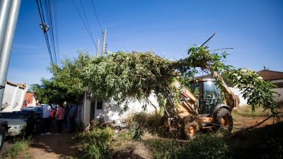 Prefeitura divulga balanço das ações de fiscalização ambiental