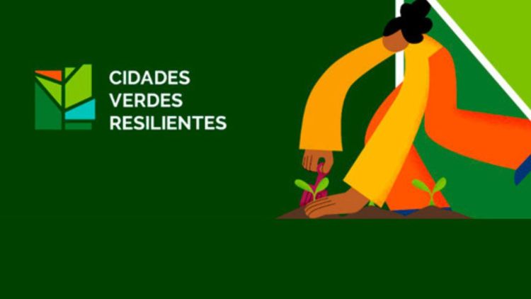 UFSCar integra iniciativa nacional sobre arborização urbana