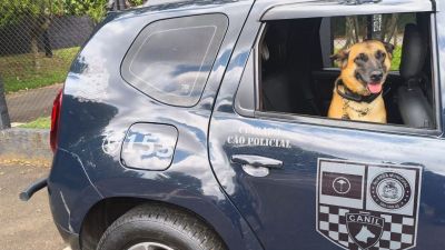 Adolescentes são apreendidos com drogas após ação da Guarda Municipal em São Carlos