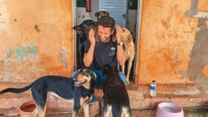 Proanimal recebe recurso de R$ 50 mil destinado pelo vereador Elton Carvalho para fortalecer a causa animal